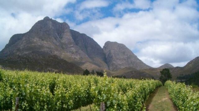 Herold Wines Cottages