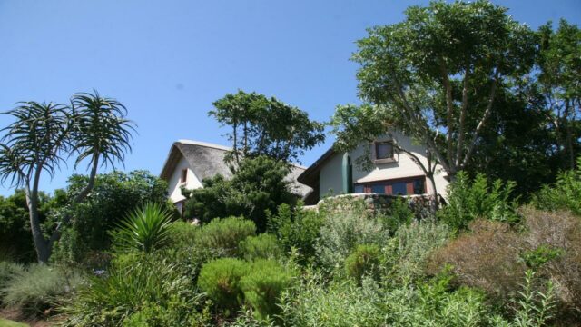Paradise Cove