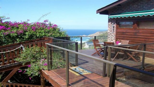 dolphin view