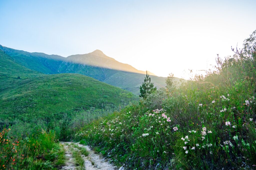 Outeniqua Nature Reserve