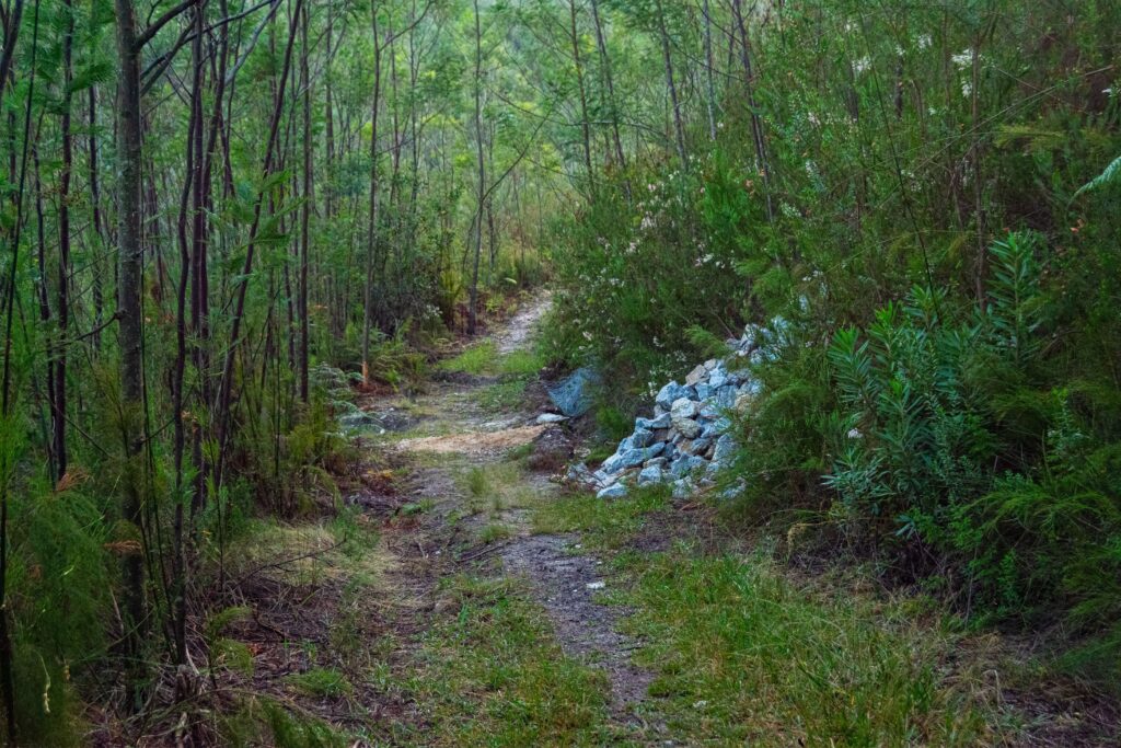 Outeniqua Nature Reserve