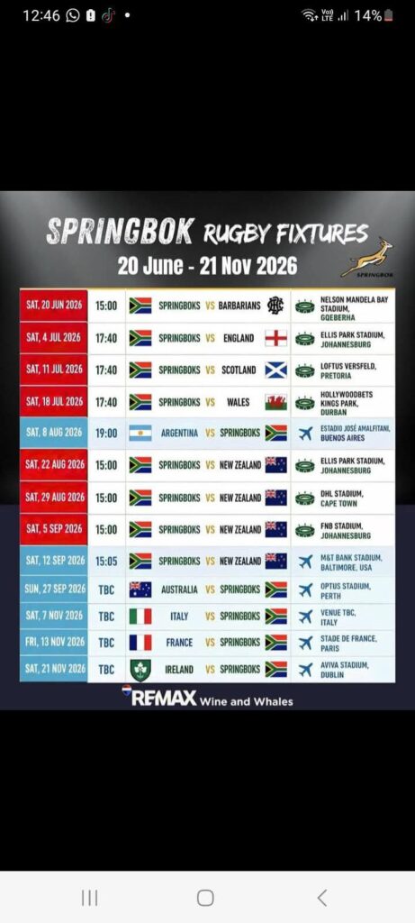 BIG SCREEN BOK RUGBY