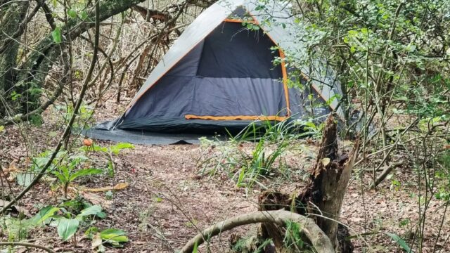 Fairy Knowe backpackers