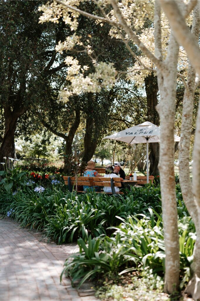 Clay Cafe George