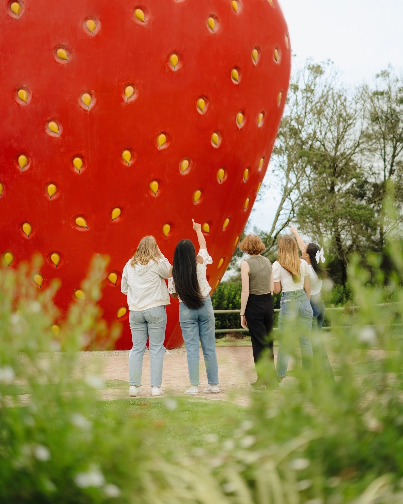 Giant strawberry