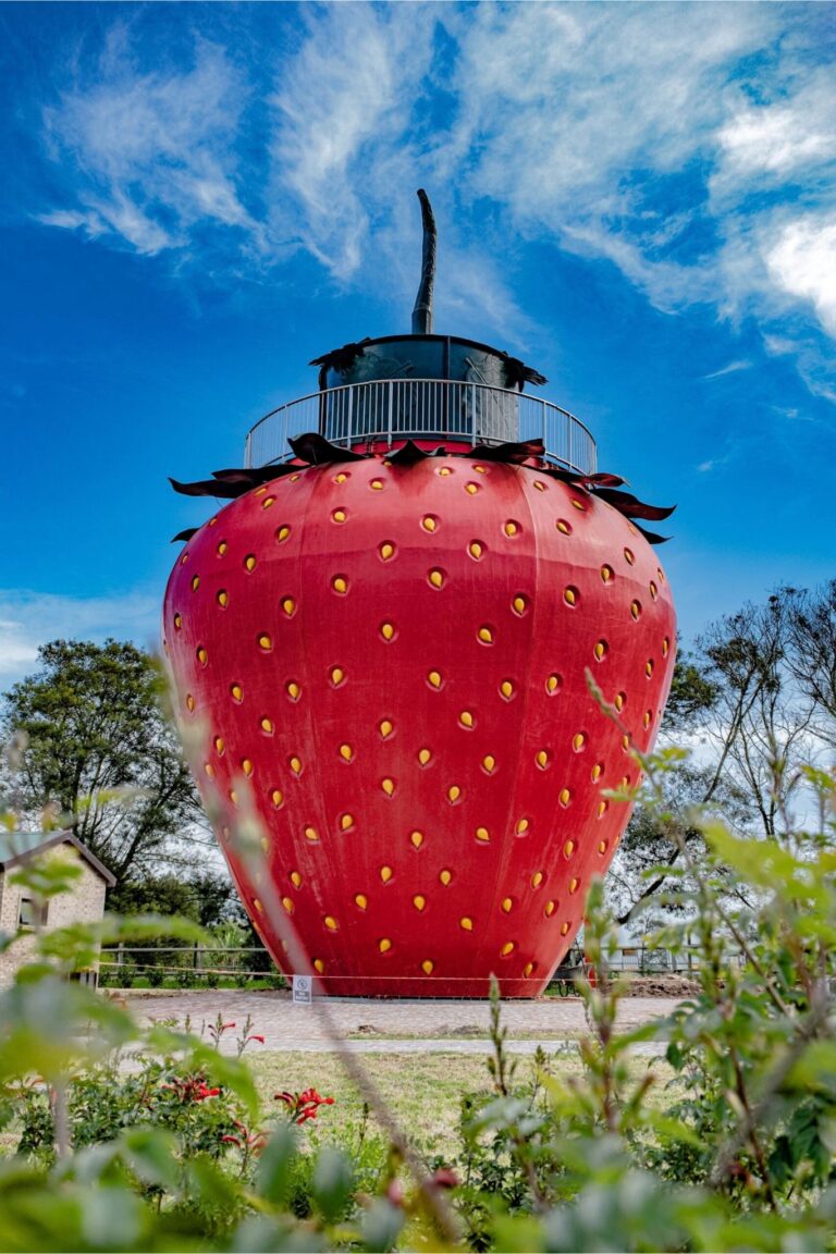 STRAWBERRY