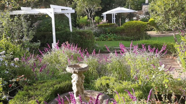 Montevista Guesthouse