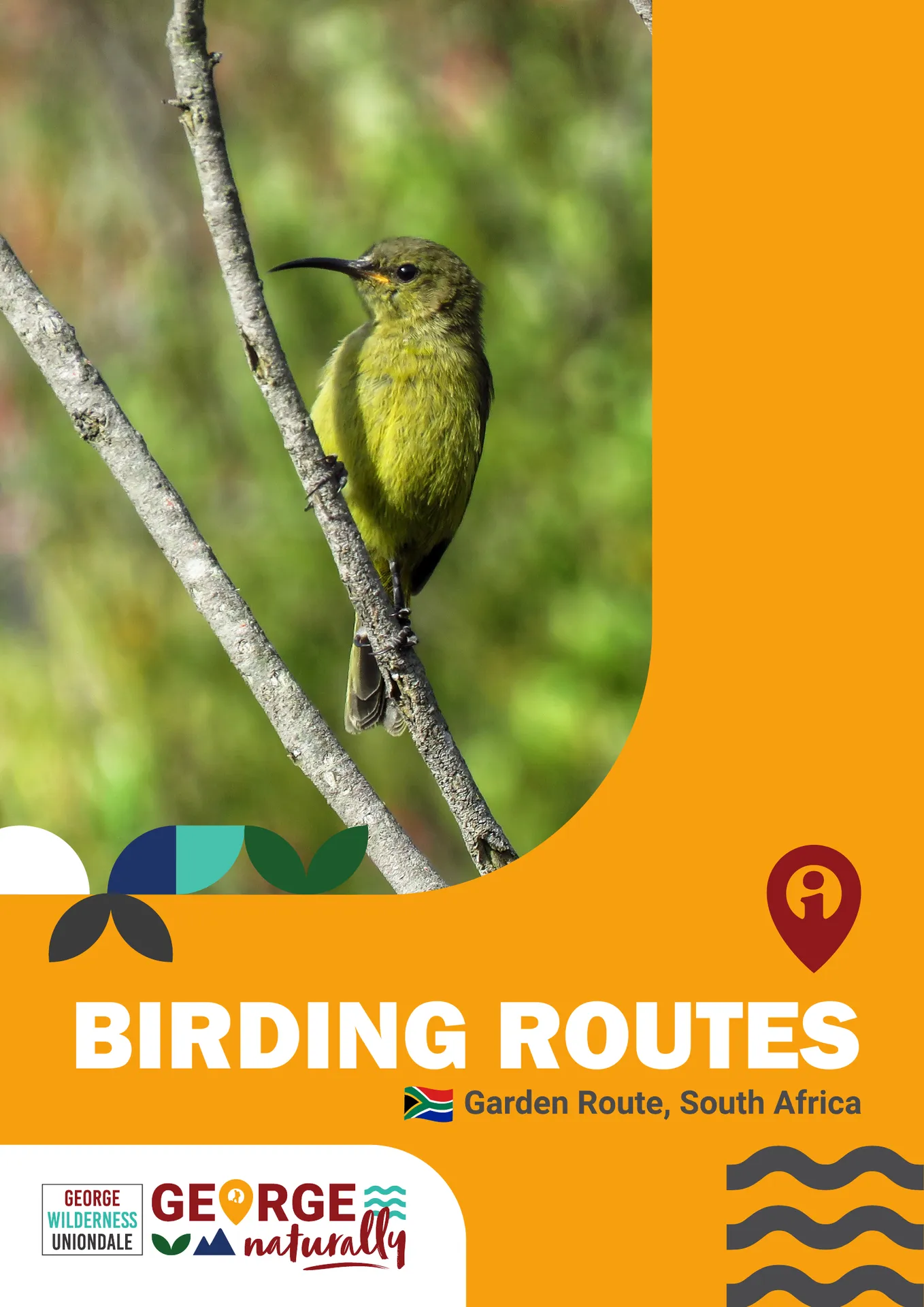 gt guide birding routes cover